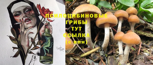 mdpv Алексеевка