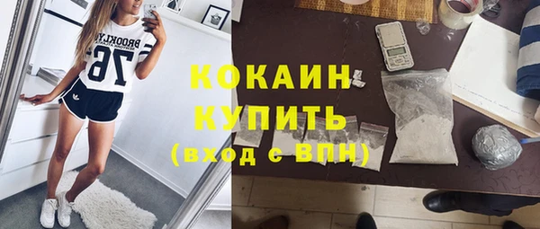 ПСИЛОЦИБИНОВЫЕ ГРИБЫ Алзамай