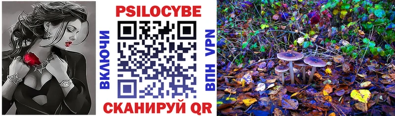 Купить  Грязи  Галлюциногенные грибы Psilocybe 